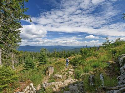 Village Hotel Bayerischer Wald - Bild 1