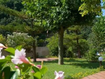 Hotel Parco Delle Rose - Bild 1