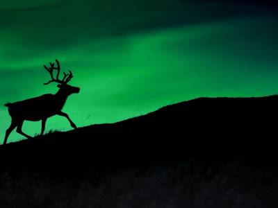 Smarthotel Hammerfest - Bild 1