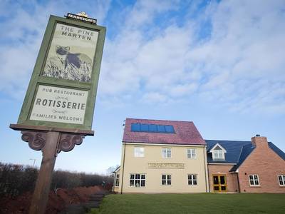 The Pine Marten - Bild 1