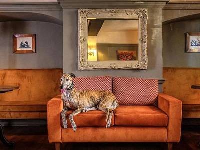 The Feathers Hotel - Bild 1