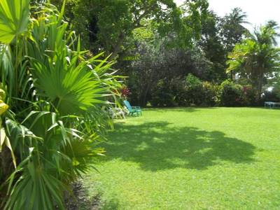 Palm Garden Hotel - Bild 1