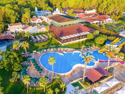 Gypsophila Club Marine - Bild 1