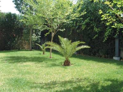 Simón Verde Hotel Apartamentos - Bild 1