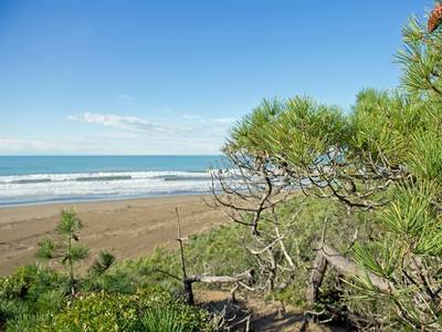 Paradù Tuscany Eco Resort - Bild 1