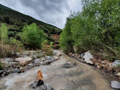 Kasbah Africa - Bild 1