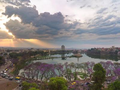 Carlton Madagascar - Bild 1