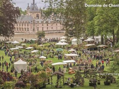 Château Jeanne & the Forest - Bild 1