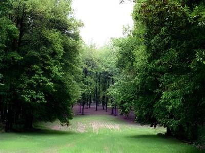 Hotel Europa Olympia - Bild 1