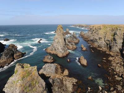 VVF Villages Belle-Ile-en-Mer - Bild 1