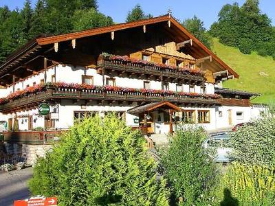 Wohlfühlgasthof Friedlwirt - Bild 1