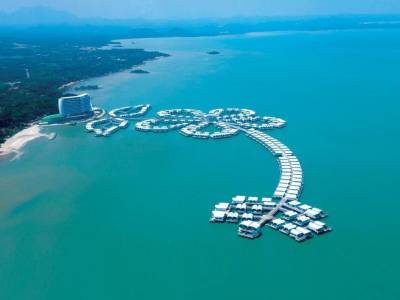 Lexis Hibiscus - Bild 1