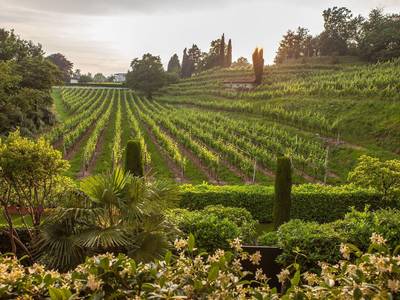 Park Hotel Principe - Bild 1