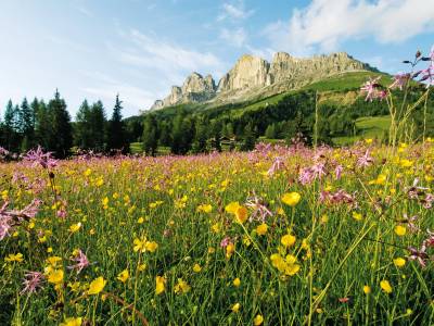 Hotel Cristal - Bild 1