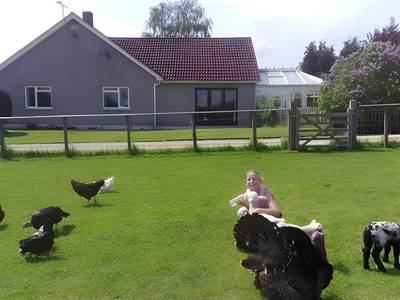 Wayside B&B - Bild 1