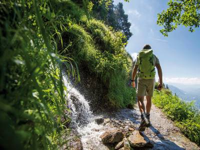 das stachelburg - Bild 1