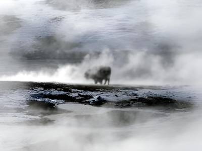 The Ridgeline Hotel at Yellowstone, Ascend Hotel Collection - Bild 1