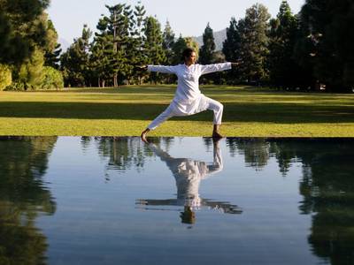 Ananda in the Himalayas - Bild 1