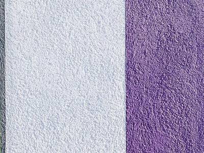 Wuschl Lounge - Bild 1