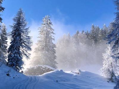Naturhotel Schütterbad - Bild 1