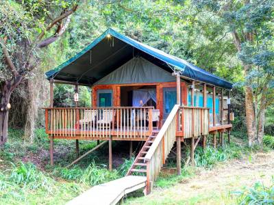 Botlierskop Private Game Reserve - Bild 1