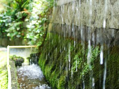 Shoenso Hozugawatei - Bild 1