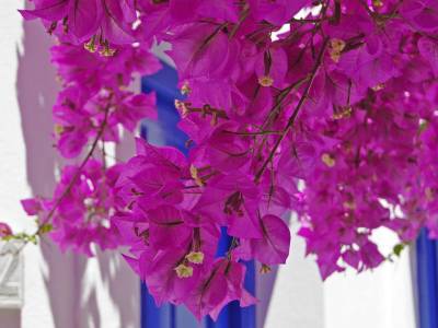 Syros Atlantis Hotel - Bild 1