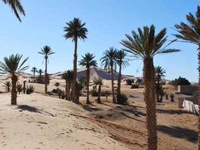 Riad Lghiam - Bild 1