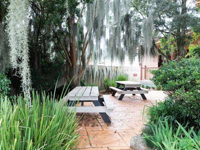 Kings and Queens Paterson - Bild 1