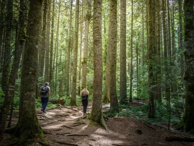 Hotel Vila Drina - Bild 1