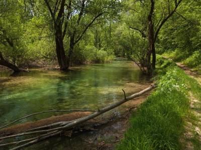 Guesthouse Zafran - Bild 1