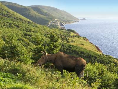 Maison Fiset House - Bild 1