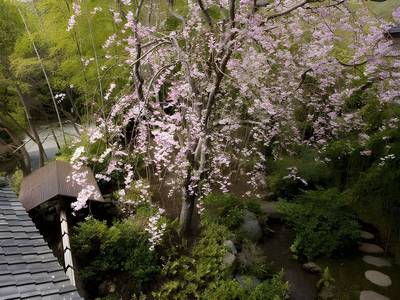 Yagyu No Sho - Bild 1