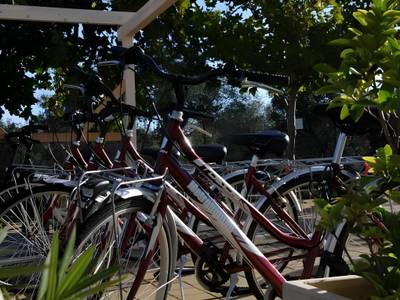 Residence Bellaria - Bild 1