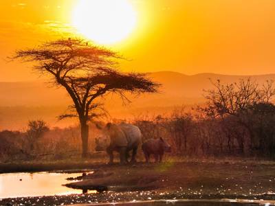 African Spirit Game Lodge - Bild 1