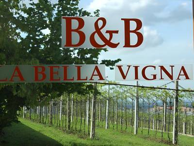 B&B La Bella Vigna - Bild 1