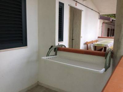 Viola Club Village - Bild 1