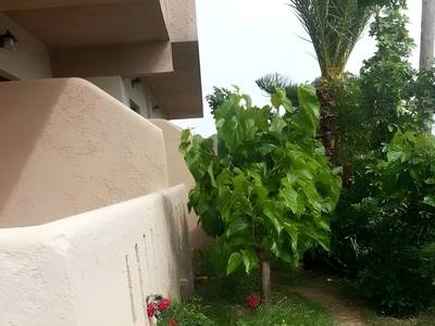 Elena Rooms - Bild 1