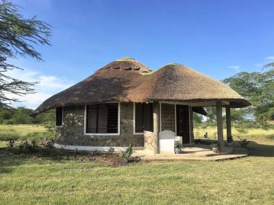 Africa Safari Lake Manyara - Bild 1