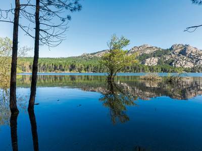 Domaine Le Mouflon d'Or - Bild 1