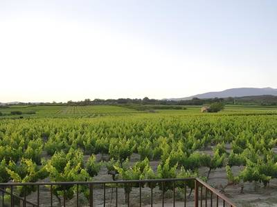 Le Mas de Plein Pagnier - Bild 1