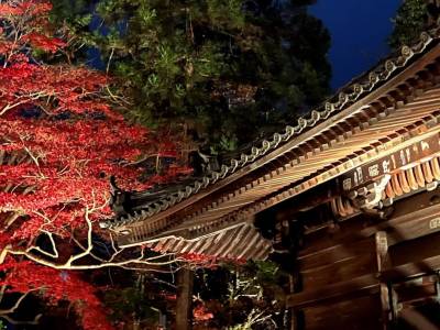 Vessel Inn Shiga Moriyama Ekimae - Bild 1