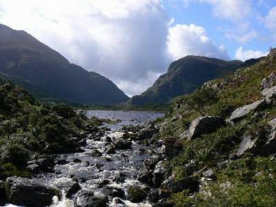 Ferris Wheel B&B - Bild 1