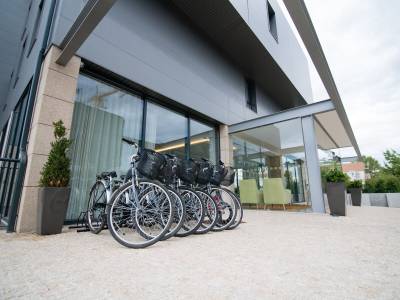 Celorico Palace Hotel & Spa - Bild 1