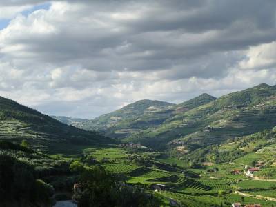 Villa Di Cazzano - Bild 1