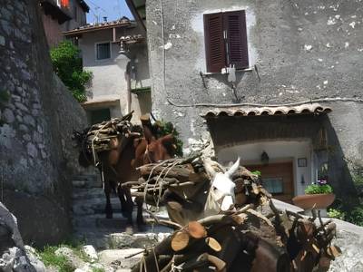 B&B Dell'Artista - Bild 1