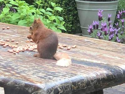 Enchanted Manor - Bild 1