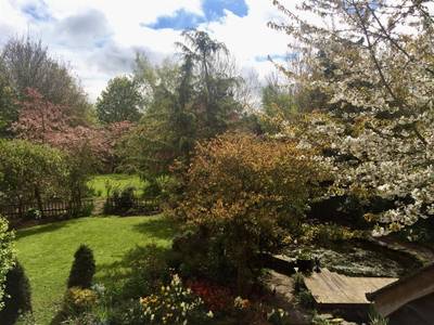 Yew Tree Cottage Bed & Breakfast - Bild 1