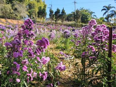 Sainamtok Resort - Bild 1