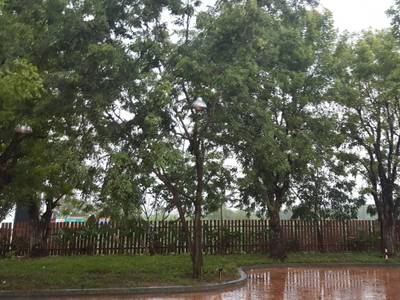 Arcadia Resort - Bild 1